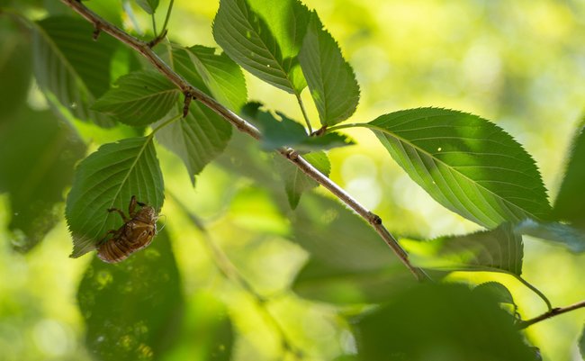 shutterstock_2012056709