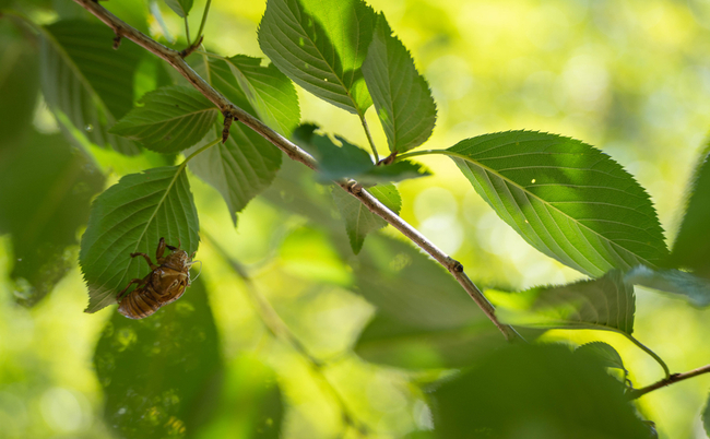 shutterstock_2012056709