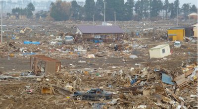 shutterstock_1321445894