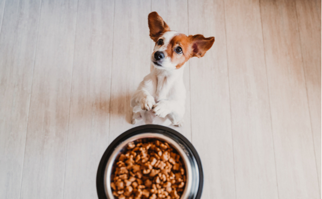 shutterstock_1557373115