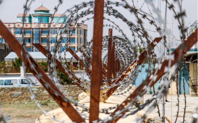 shutterstock_2027334503