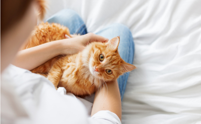 shutterstock_396078325