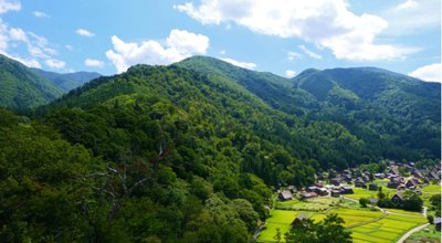 shutterstock_1448108132