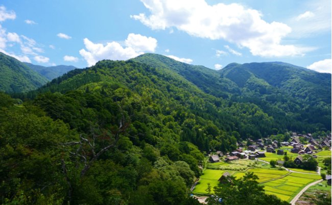 shutterstock_1448108132