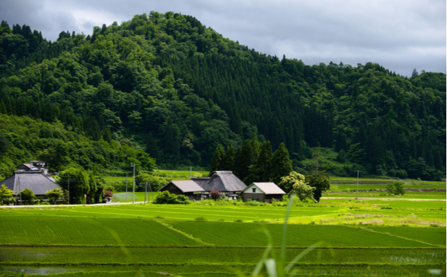 shutterstock_1815911489