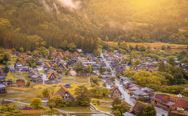 shutterstock_1132579547