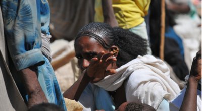 shutterstock_1504995380