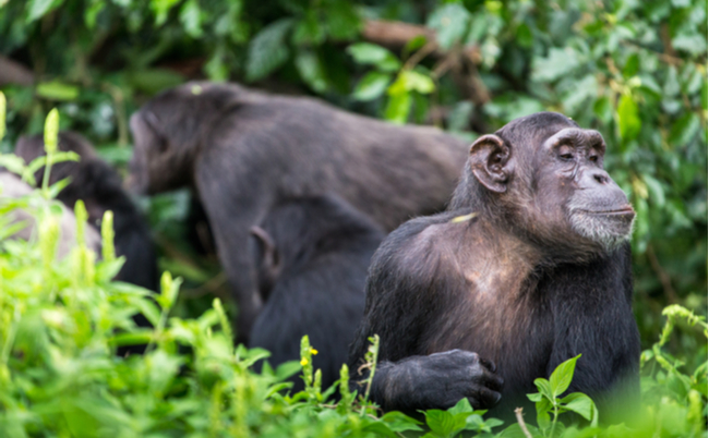 shutterstock_1900726978