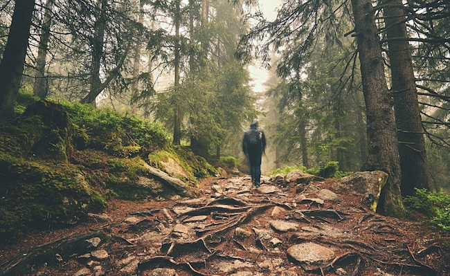 Traveler,Hiking,Through,Deep,Forest,In,The,Mountains,-,Blurred