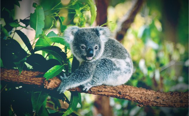 shutterstock_758018137