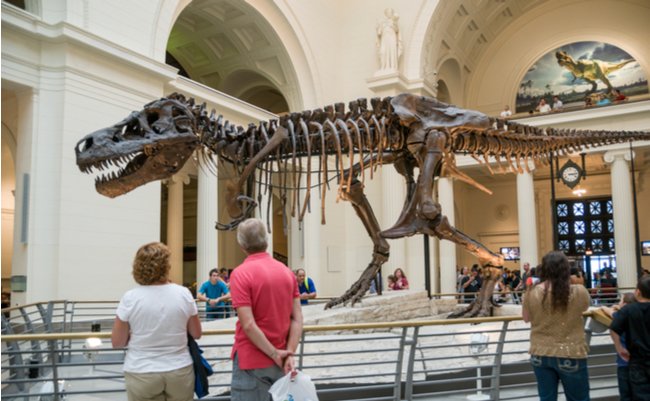 shutterstock_1828576913