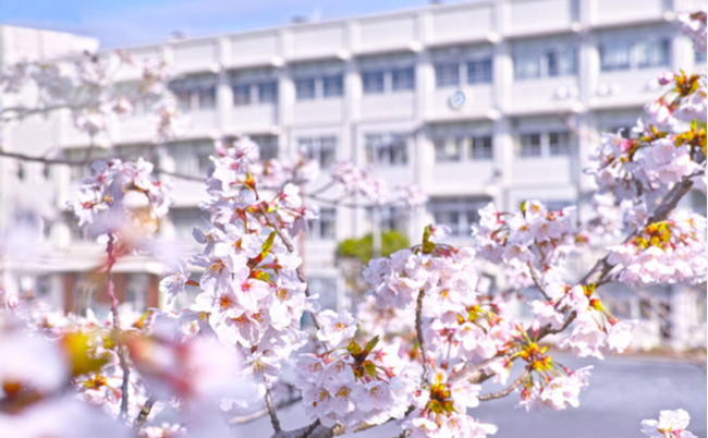 shutterstock_1945872178