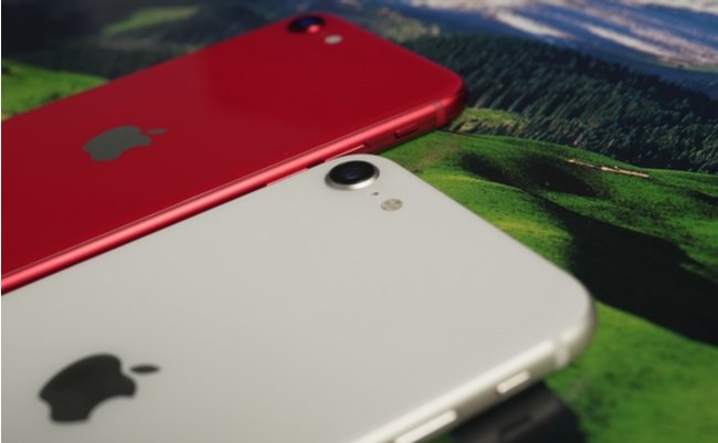 shutterstock_2136642657