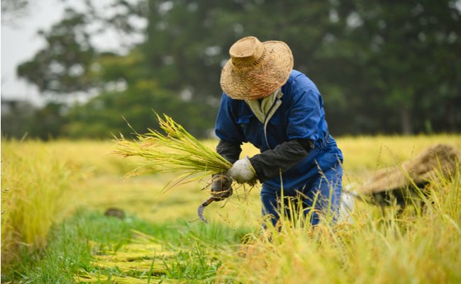 shutterstock_1968645784