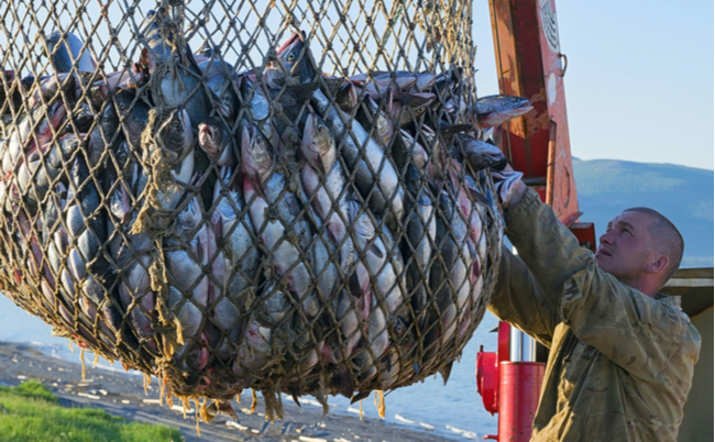 shutterstock_1828516778