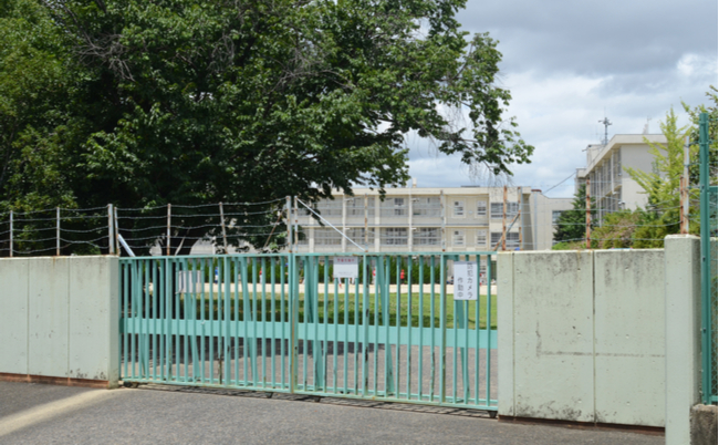 shutterstock_2010272633