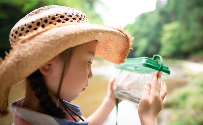 shutterstock_2032407224