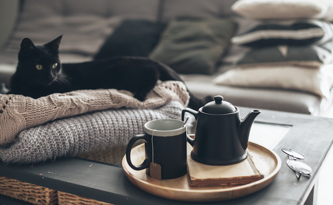 Still life details in home interior of living room. Black cat relaxing on sweater. Cup of tea on a serving tray on coffee table. Breakfast over sofa in morning sunlight. Cozy autumn or winter concept.