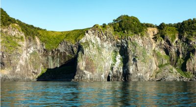 shutterstock_1453109519