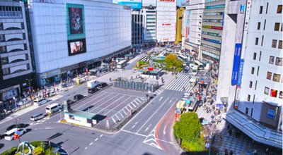 shutterstock_1578305968