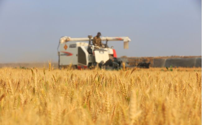 shutterstock_1919893910