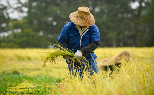 shutterstock_1968645745