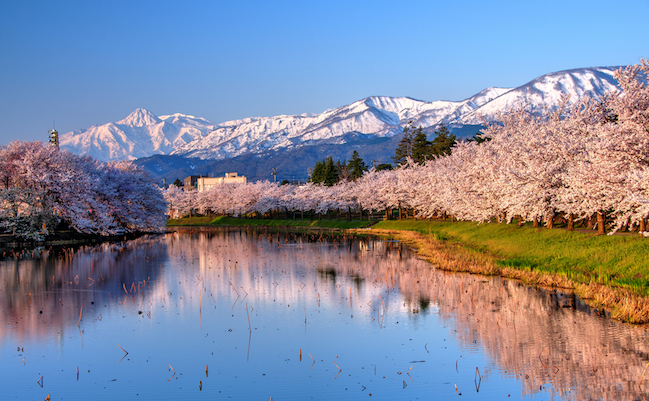 Myoko Range with Cherry Blossom in the foreground, Niigata, Japan