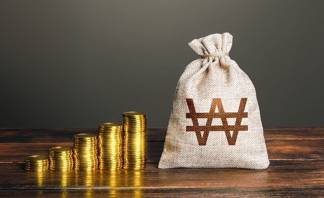 South korean won money bag and increasing stacks of coins. Rise in profits, budget fees. Investments. Raise incomes, increase salaries. Financial success. Bonus. Economic growth. Savings accumulation.