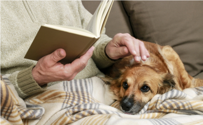 shutterstock_423239686