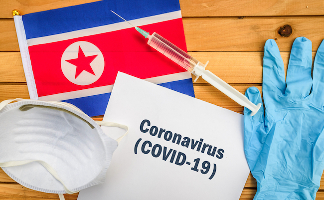 Coronavirus in North Korea,. Flag of North Korea, vaccine, face mask for virus, glove and paper sheet with words Coronavirus COVID-19