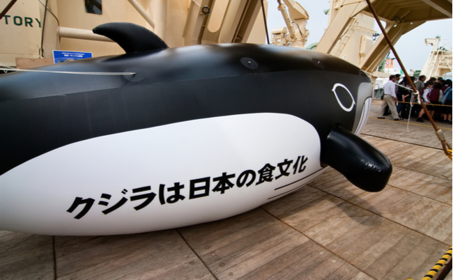 shutterstock_53345350