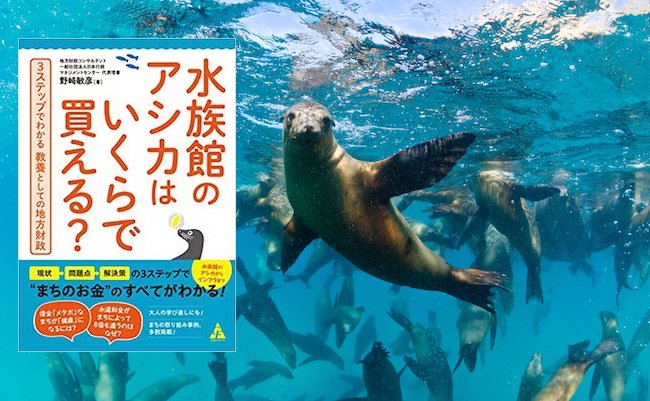 The Californian sea lions of Mexico's Baja California