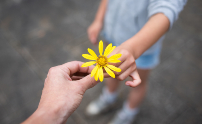 shutterstock_1548126716