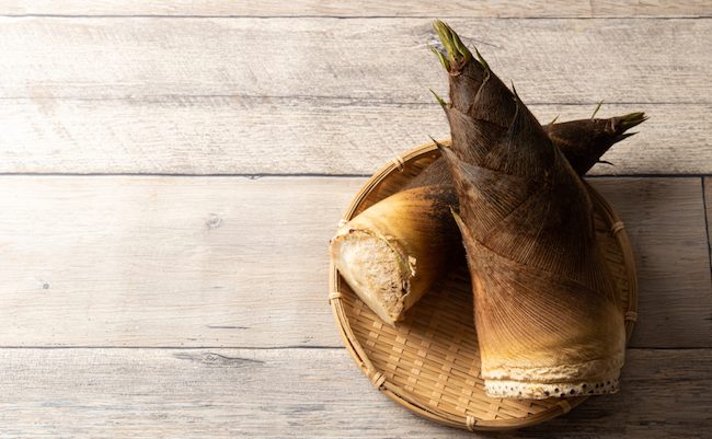 Freshly,Picked,Japanese,Bamboo,Shoots