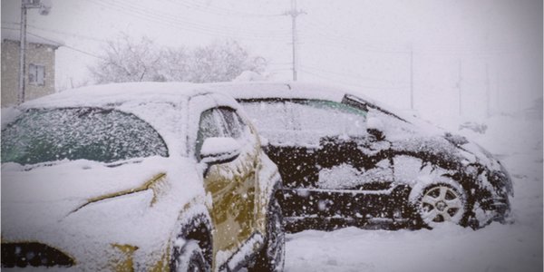 shutterstock_2126103692