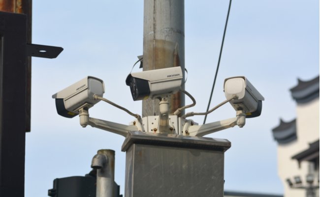 shutterstock_2176520497