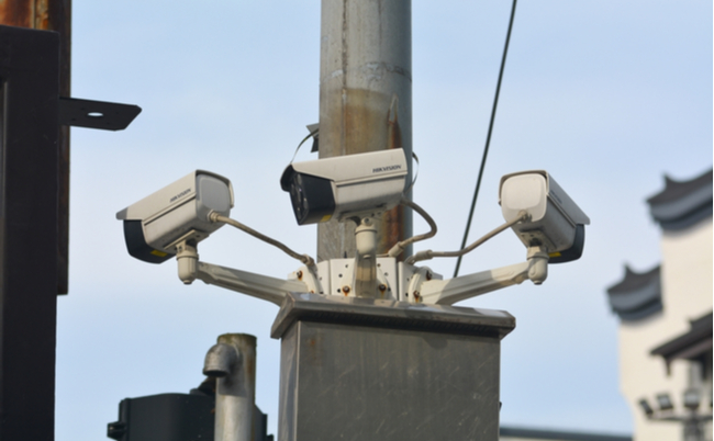 shutterstock_2176520497