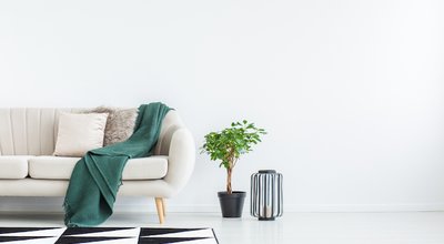 Beige sofa with green blanket and cushions standing against white, empty wall in minimalistic living room