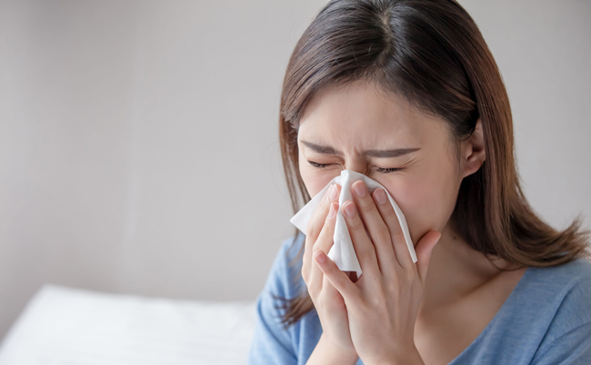 Shutterstock_1504802297