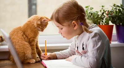 Educate at home. Child girl make homework with pet cat. Funny ginger kitten sitting on table where kid is writing. Back to school.