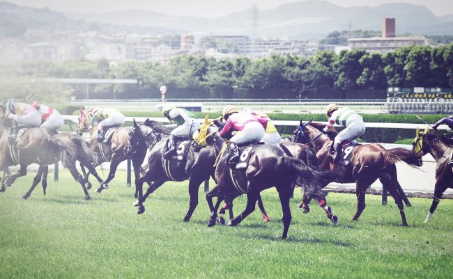 Racehorses,And,Jockeys,Running,On,The,Turf,Course