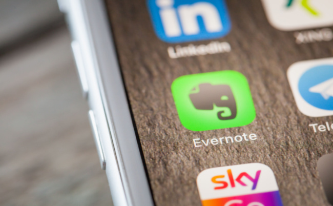 Shutterstock_1194320635