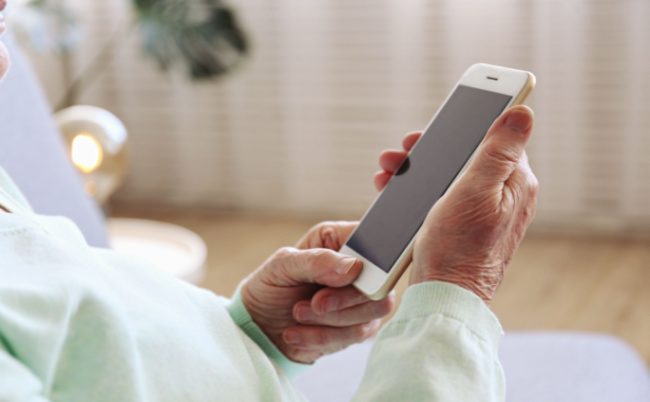 Shutterstock_1494179741