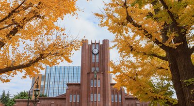 Clock Tower and Ginkgo tree, Autumn in Tokyo, Japan