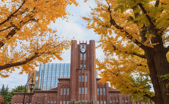 Clock Tower and Ginkgo tree, Autumn in Tokyo, Japan