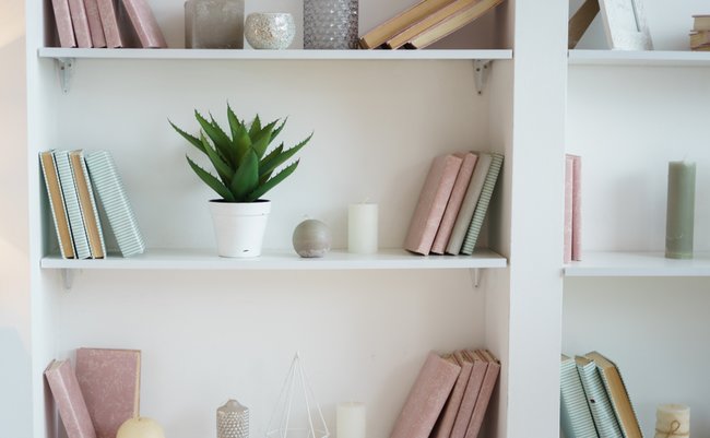Bookcase,With,Pink,And,Blue,Books.,Plant,In,Pot.,White