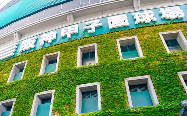 Hyogo,,Japan,-,August,22,2019,-,Hanshin,Koshien,Stadium,Is