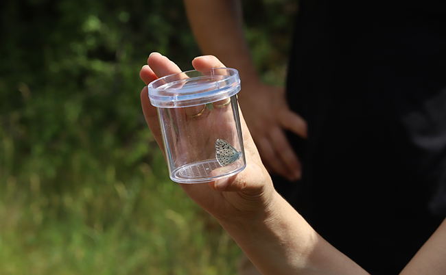 Dudelange,,Luxembourg,-,June,23,,2022,:,A,Person,Holding