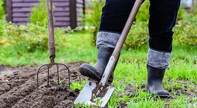 Gardener,Digging,In,The,Garden.,Soil,Preparing,For,Planting,In