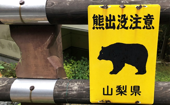 An,Old,Grunge,Rusty,Yellow,Steel,Plate,Of,Wild,Bear